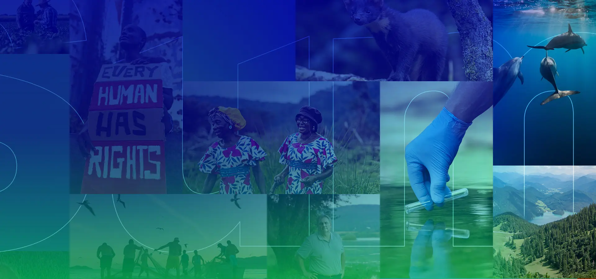 Montage of environmental images